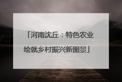河南沈丘：特色农业绘就乡村振兴新图景